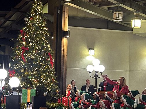 Annual Tree Lighting Held at Library