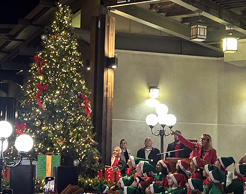 Annual Tree Lighting Held at Library