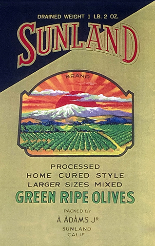 VIEW OF THE VERDUGOS <<< CRAIG DURST