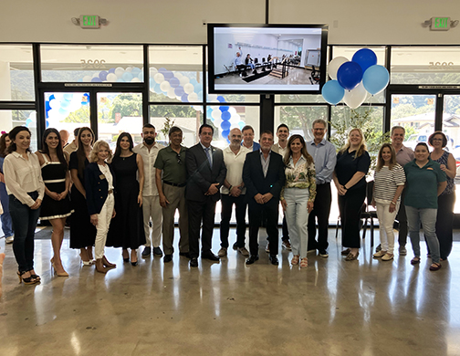 NEWS FROM THE CV CHAMBER <<< ROBIN GOLDSWORTHY