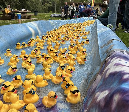 Driving You Quackers – the Kiwanis Club of Glendale’s Annual Duck Splash