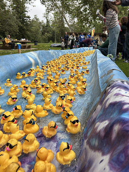Driving You Quackers – the Kiwanis Club of Glendale’s Annual Duck Splash
