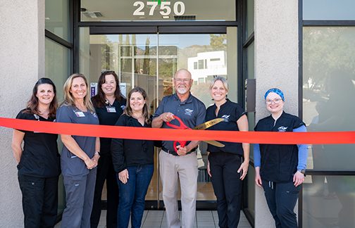 NEWS FROM THE MVCC <<< MOLLY BURKE