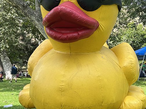 Kiwanis of Glendale Celebrate Successful Duck Splash