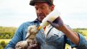 Shears Out: ‘The Sheep Detectives’ is a Sharp Whodunnit and the Charming Surprise of the Year