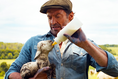Shears Out: ‘The Sheep Detectives’ is a Sharp Whodunnit and the Charming Surprise of the Year