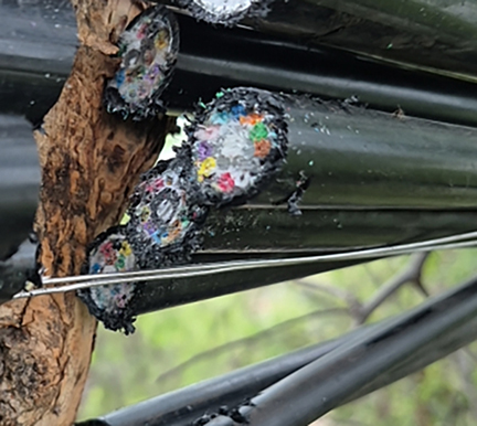 Criminal Infrastructure Attack on Spectrum Fiber Lines in Sunland