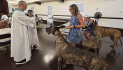 Blessing of the Animals Held at St. Luke’s