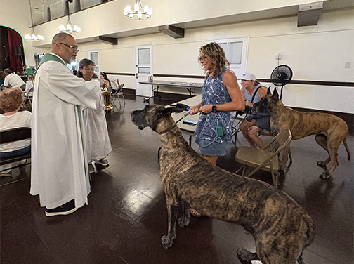 Blessing of the Animals Held at St. Luke’s