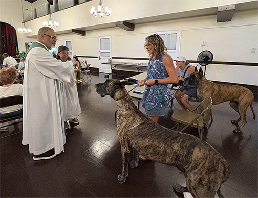 Blessing of the Animals Held at St. Luke’s